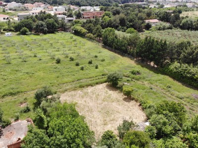 Building land in Novigrad 4