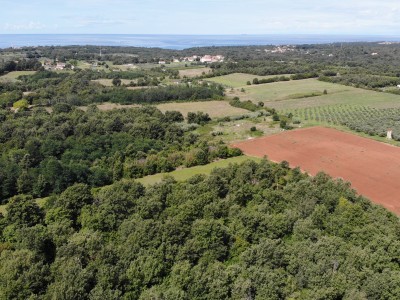 Large agricultural land near Umag