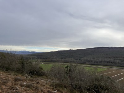 Участок на холме с видом на Мотовун 3