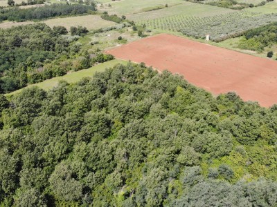Veliko kmetijsko zemljišče v bližini Umaga 5