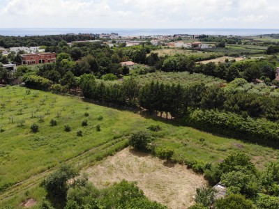 Building land in Novigrad