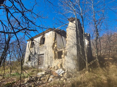 Istrska hiša Buje (04429)