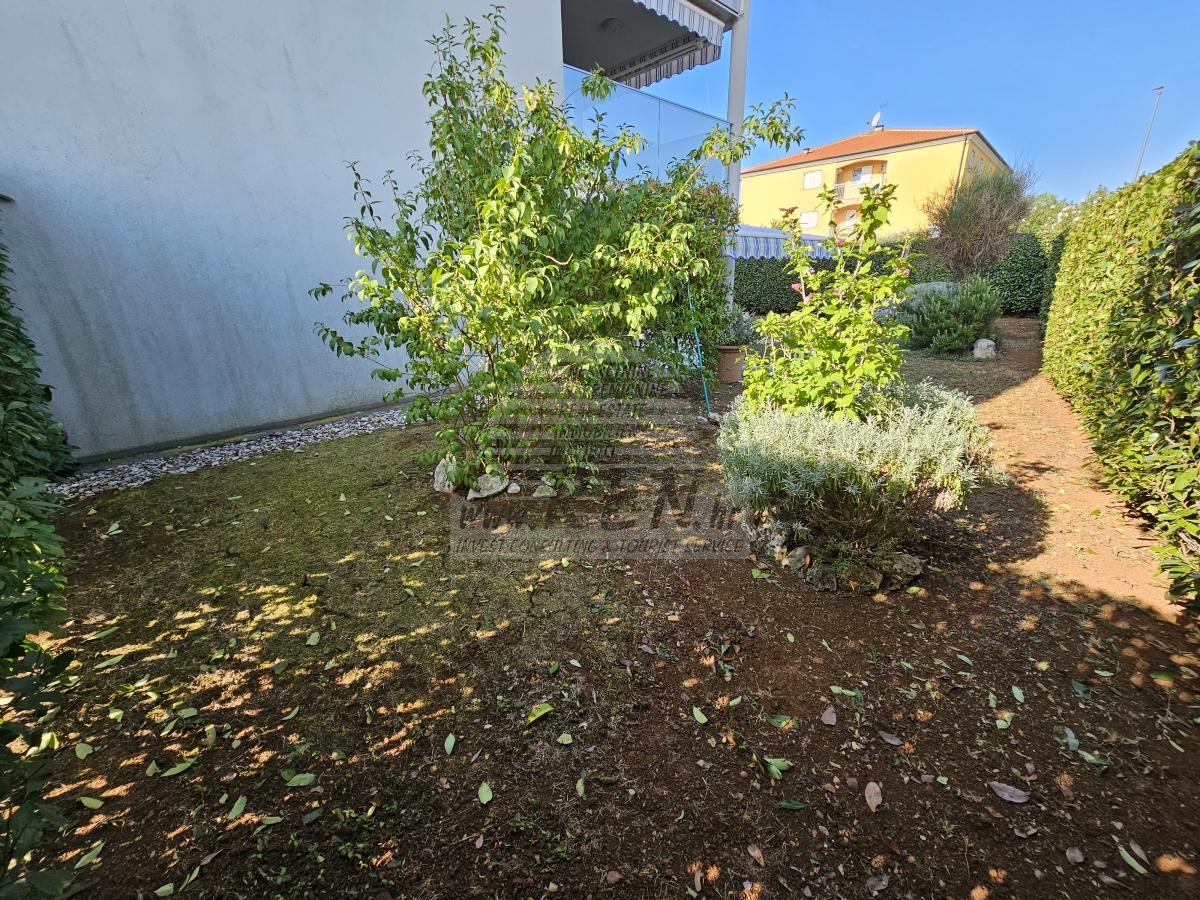 Apartment in Novigrad 6