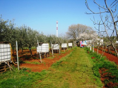 Kmetijsko zemljišče Umag