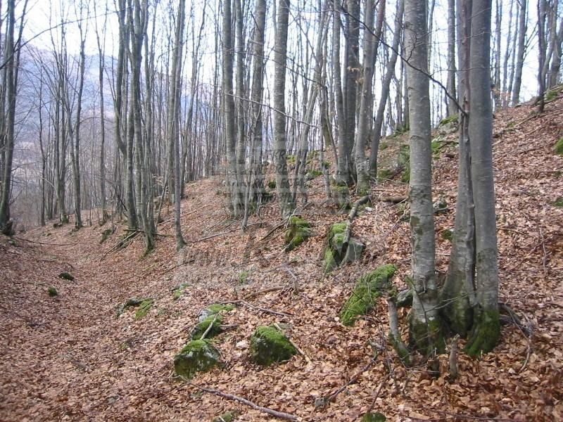 Земля для строительства Mrkopalj, Tuk Vojni 2