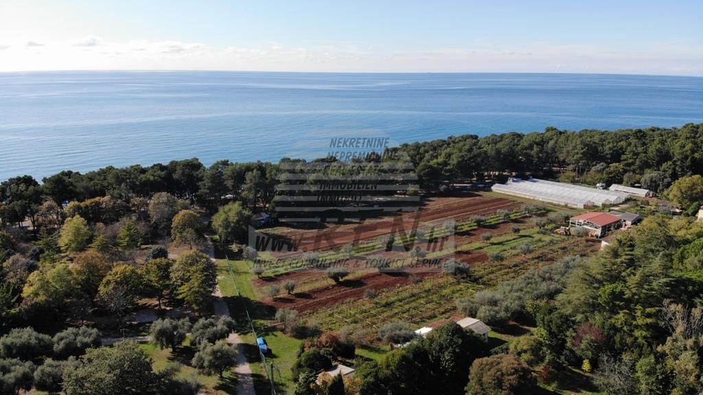 Building land near Umag 5