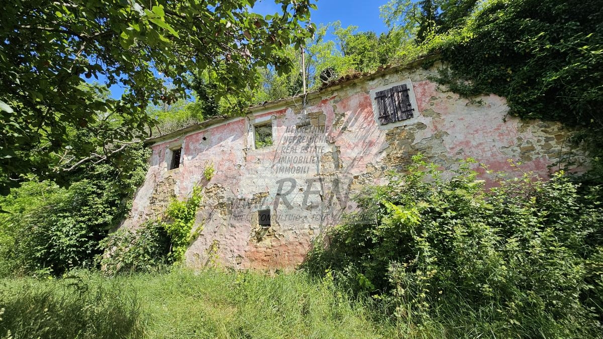 Steinhaus in der Nähe von Motovun 2