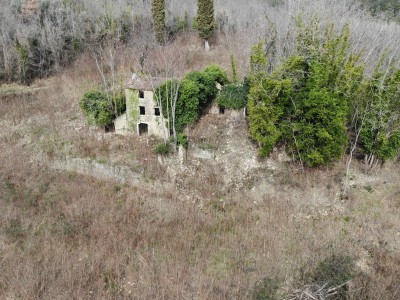 A unique Istrian large estate with potential 5