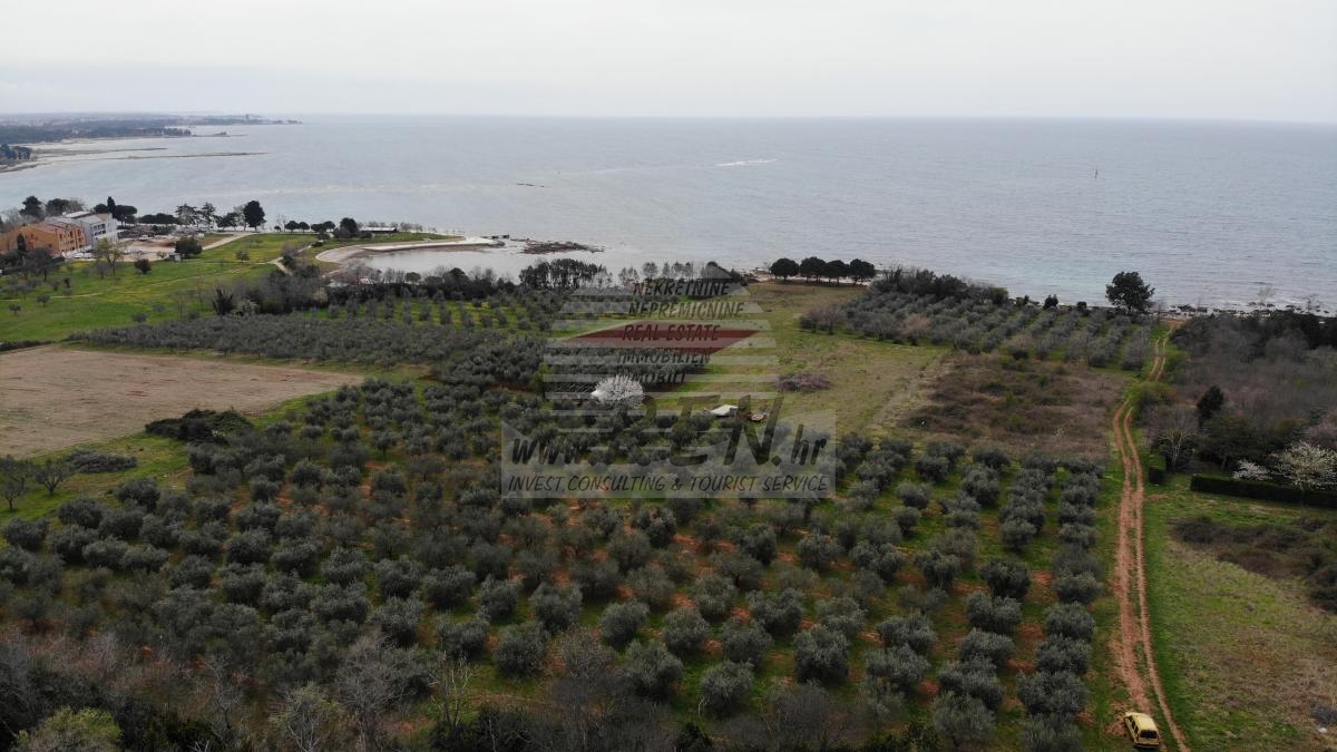 Terreno edificabile a scopo turistico vicino al mare 1