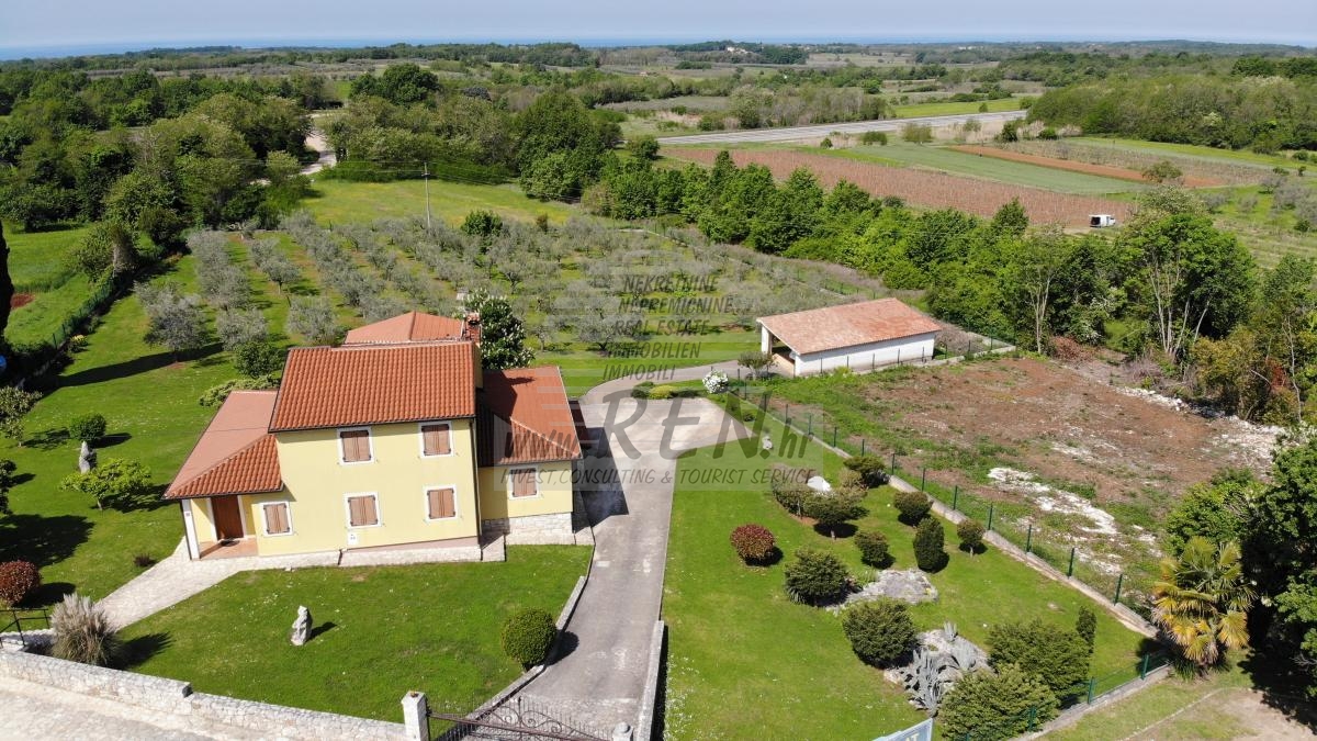 House with an olive grove and a view of the sea 2