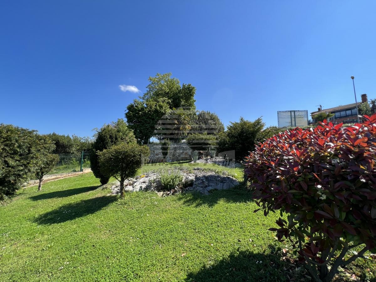 House with an olive grove and a view of the sea 19