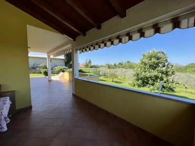 House with an olive grove and a view of the sea 9