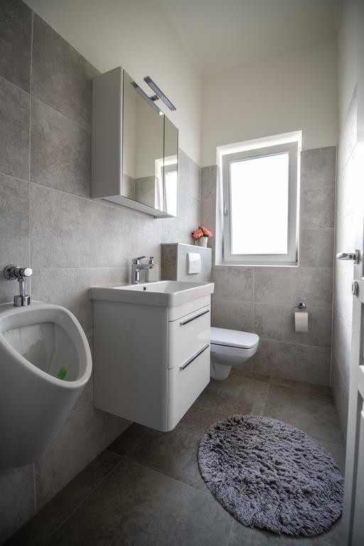 Vila u okolici Buja 35