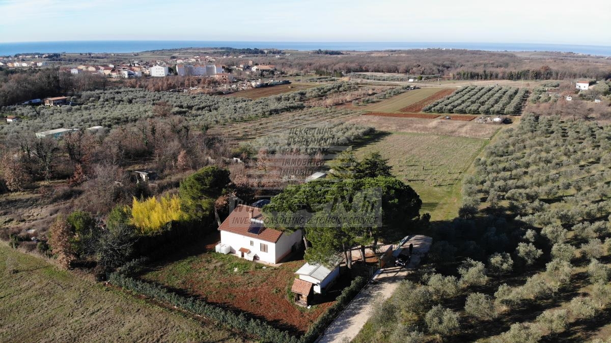 House with 6,900 m² of Land in a Green Oasis near Novigrad (1/15)