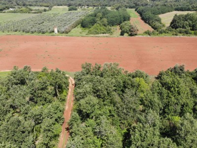 Veliko poljoprivredno zemljište blizu Umaga 2