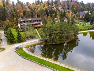 Poslovni prostor, Ljubljana okolica – Rakitna 21