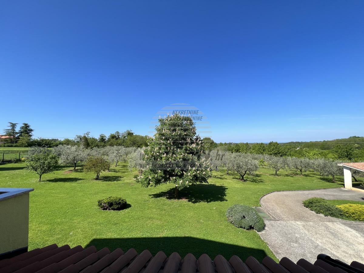 House with an olive grove and a view of the sea 3