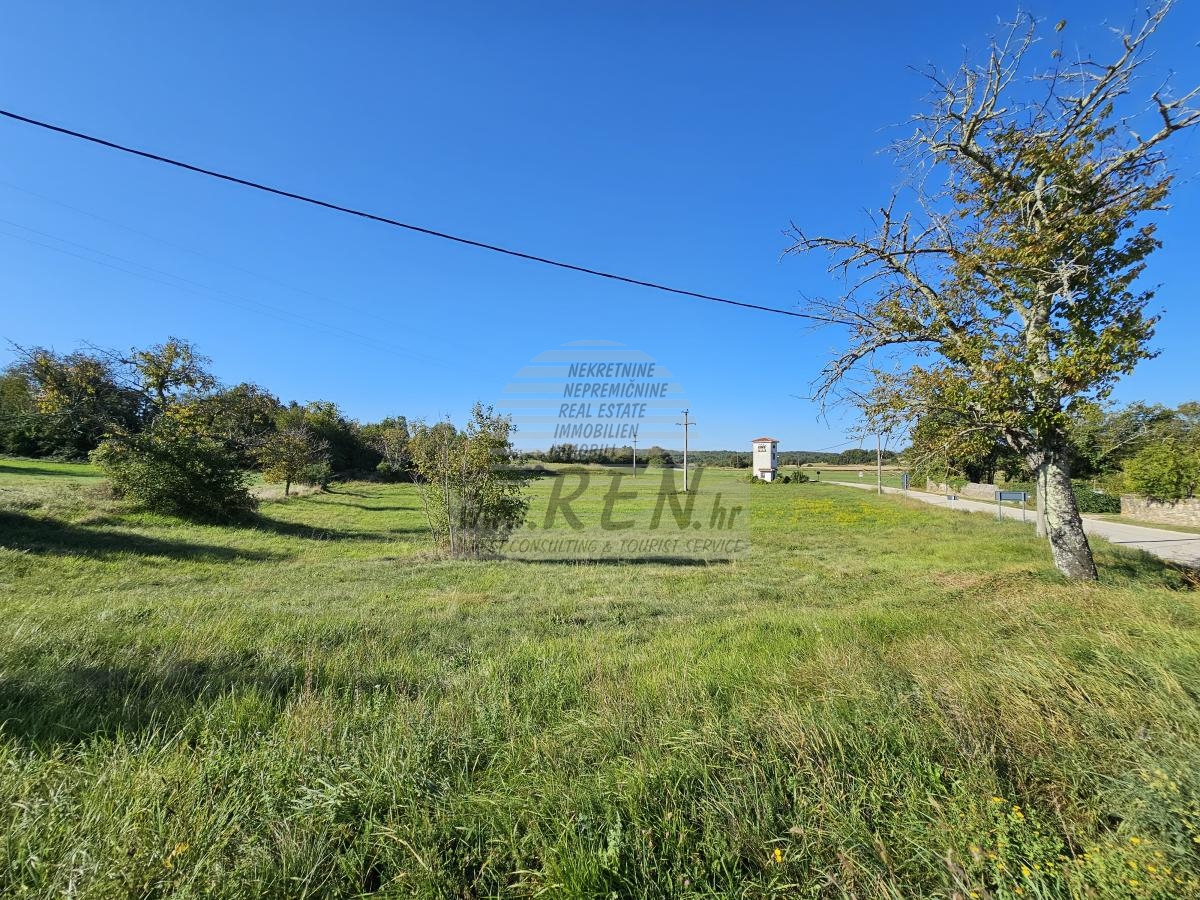 Building land near Buje 3