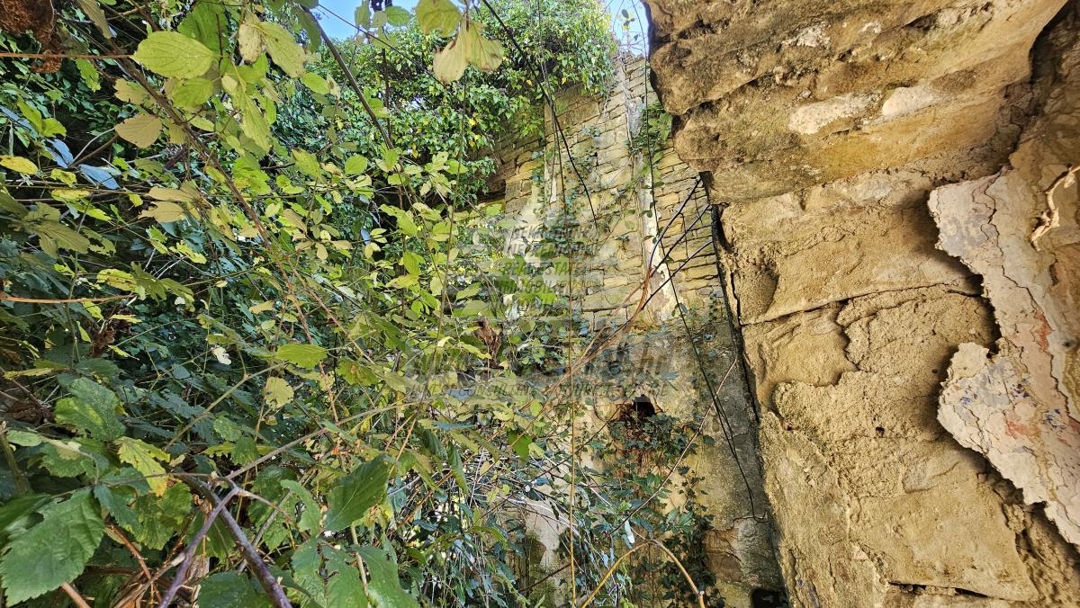 Steinruine mit Atemberaubendem Blick auf Motovun 8