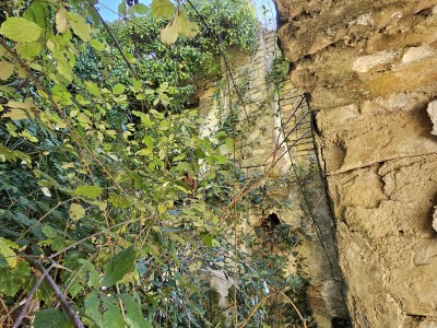 Steinruine mit Atemberaubendem Blick auf Motovun 8