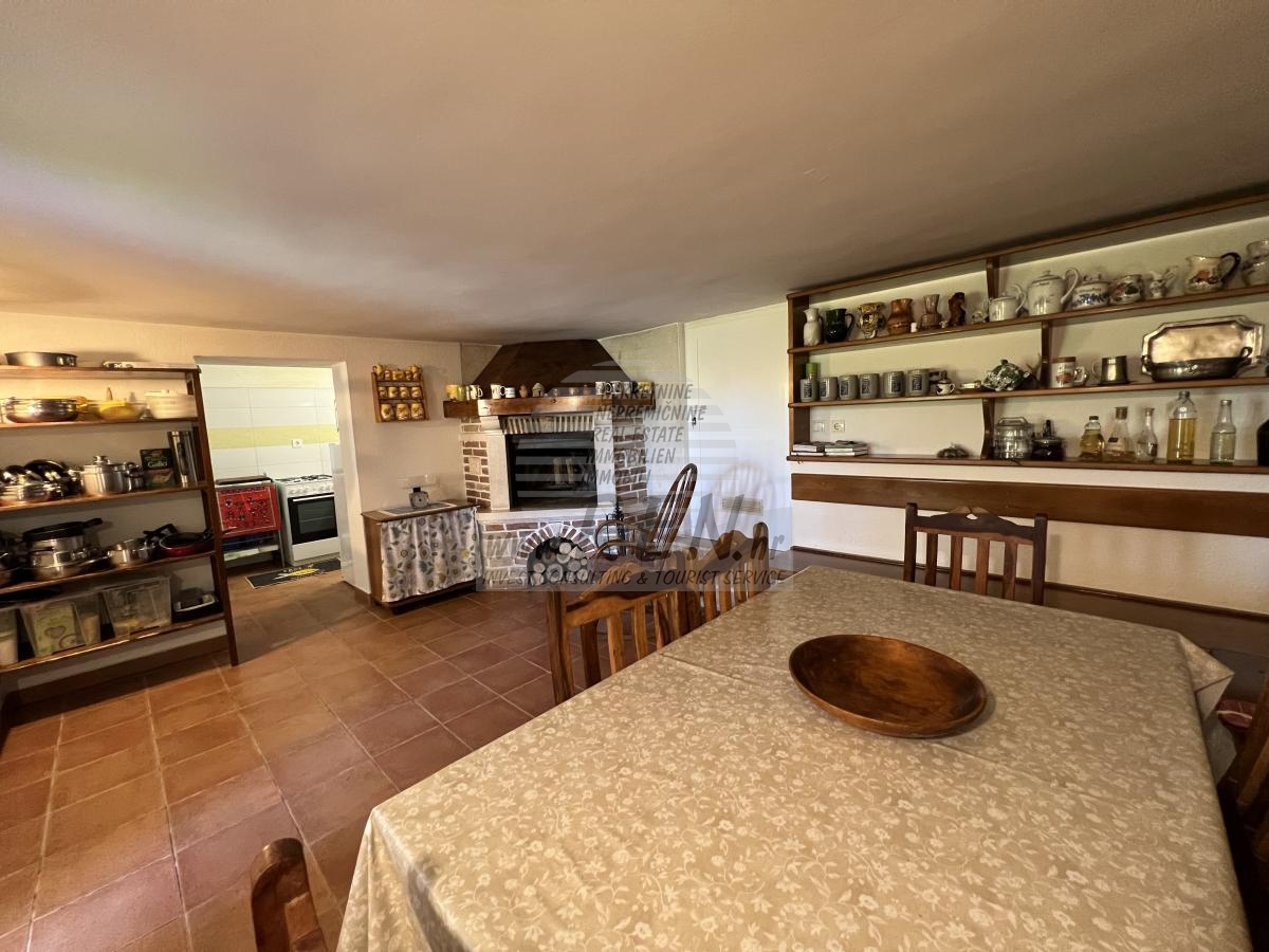 House with an olive grove and a view of the sea 31