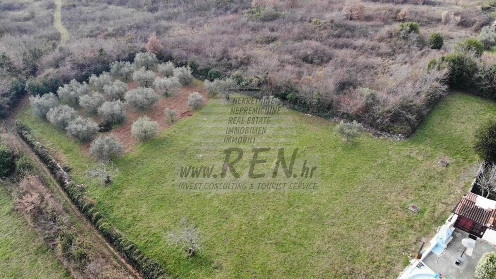 Terreno edificabile nei dintorni di Novigrad-Cittanova 6