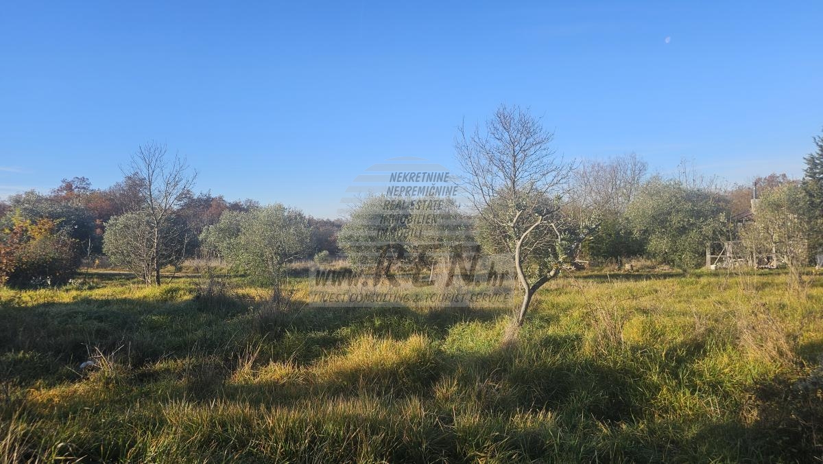 Progetto Moderno in Zona Tranquilla vicino a Buie – Terreno Edificabile con Progetto Concettuale 4