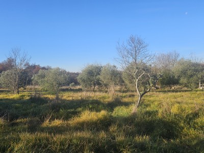 Progetto Moderno in Zona Tranquilla vicino a Buie – Terreno Edificabile con Progetto Concettuale 4