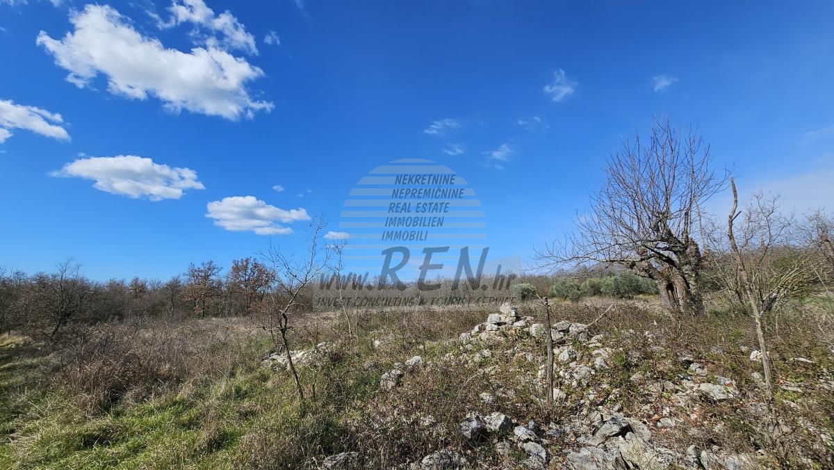 Grundstück in der Nähe von Umag, umgeben von Wald und Natur 1