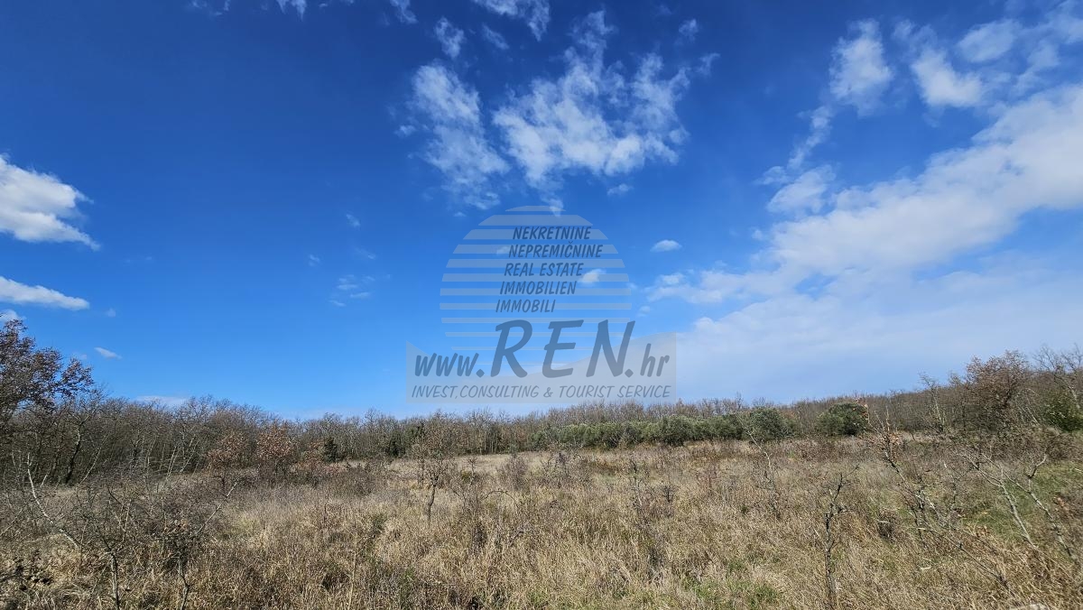 Grundstück in der Nähe von Umag, umgeben von Wald und Natur 5