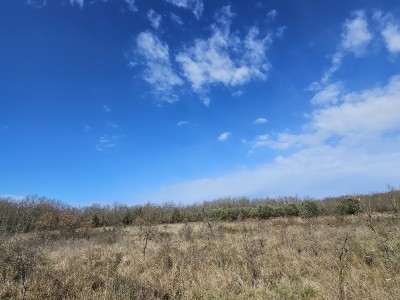 Grundstück in der Nähe von Umag, umgeben von Wald und Natur 5