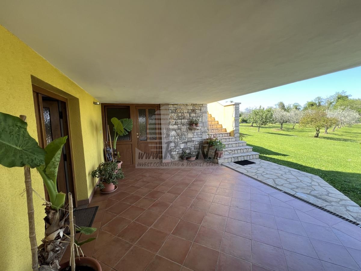 House with an olive grove and a view of the sea 15