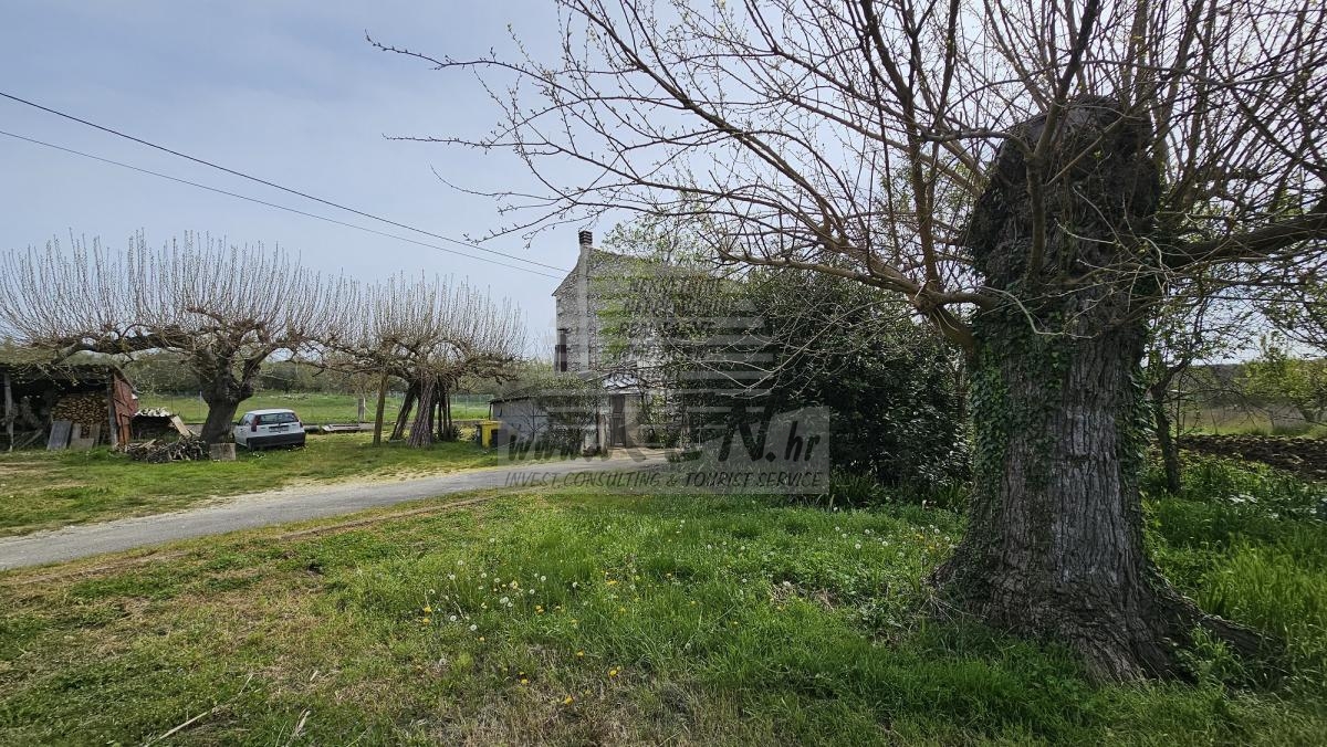Freistehendes Steinhaus in begehrter Lage 3