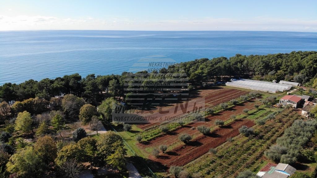Building land near Umag 3