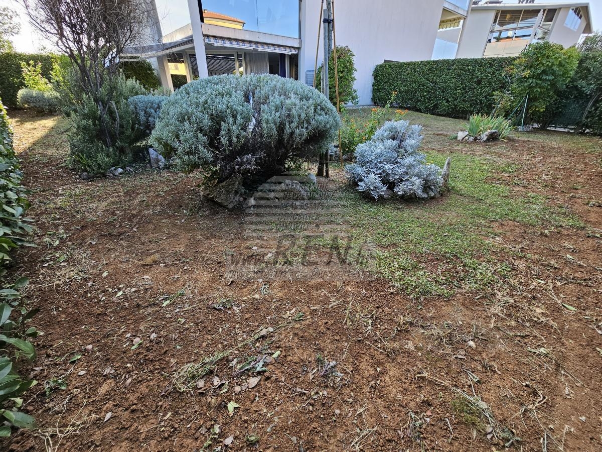 Apartment in Novigrad 8