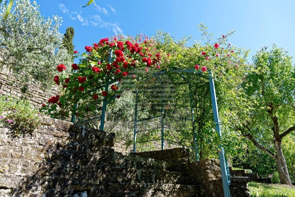 Istryjski dom Buje 2