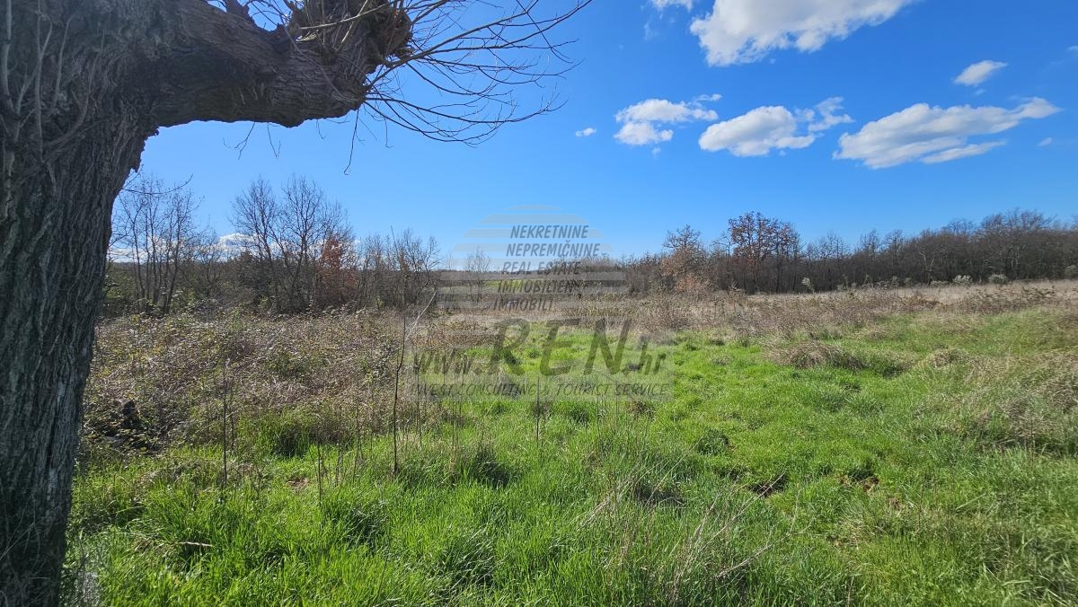 Grundstück in der Nähe von Umag, umgeben von Wald und Natur 3