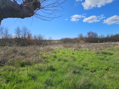 Grundstück in der Nähe von Umag, umgeben von Wald und Natur 3