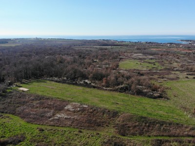 Land near Novigrad 2