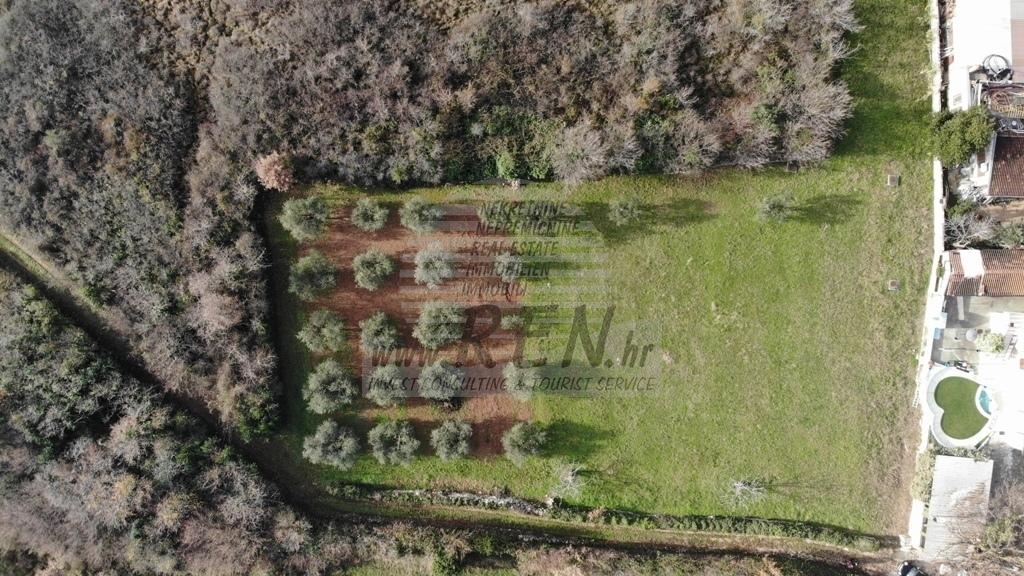 Terreno edificabile nei dintorni di Novigrad-Cittanova 4