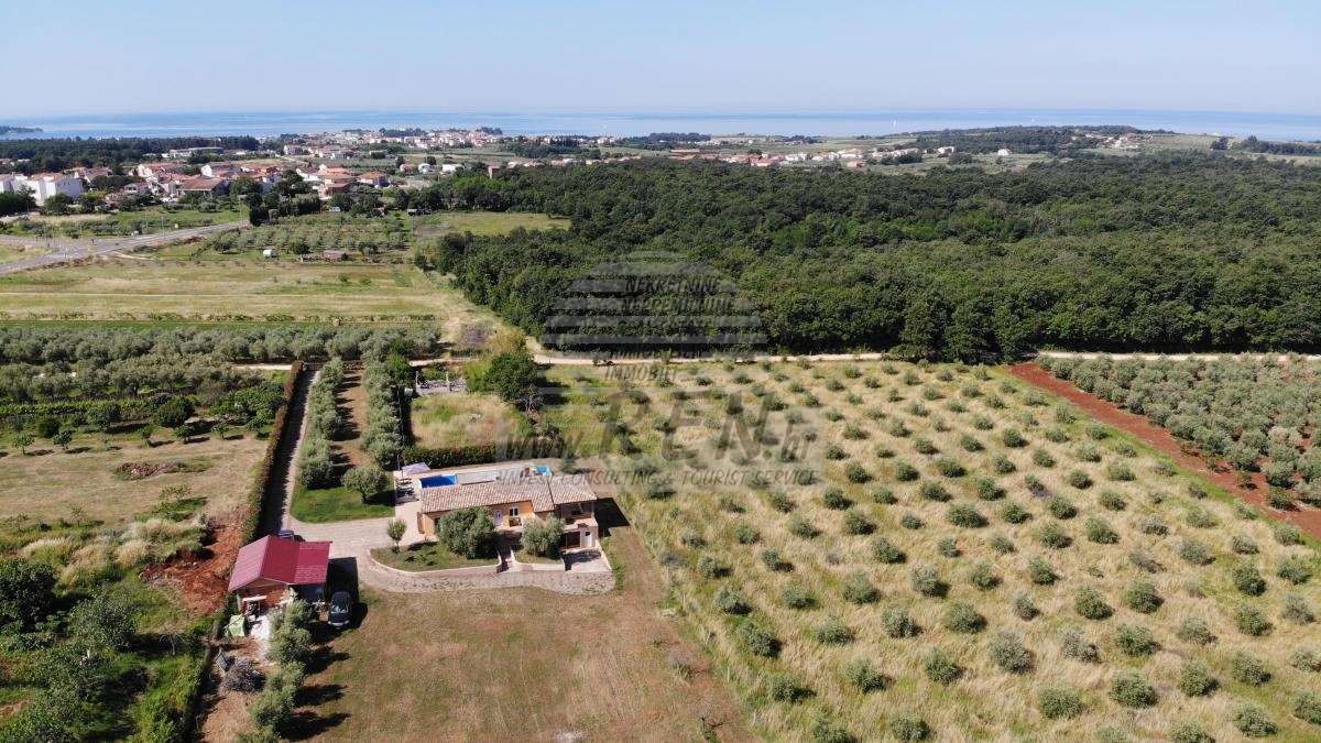 House with pool and sea view near Novigrad 4