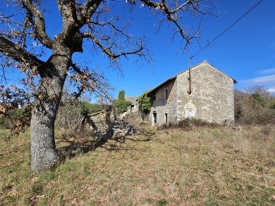 Stone house in the vicinity of Buje 3
