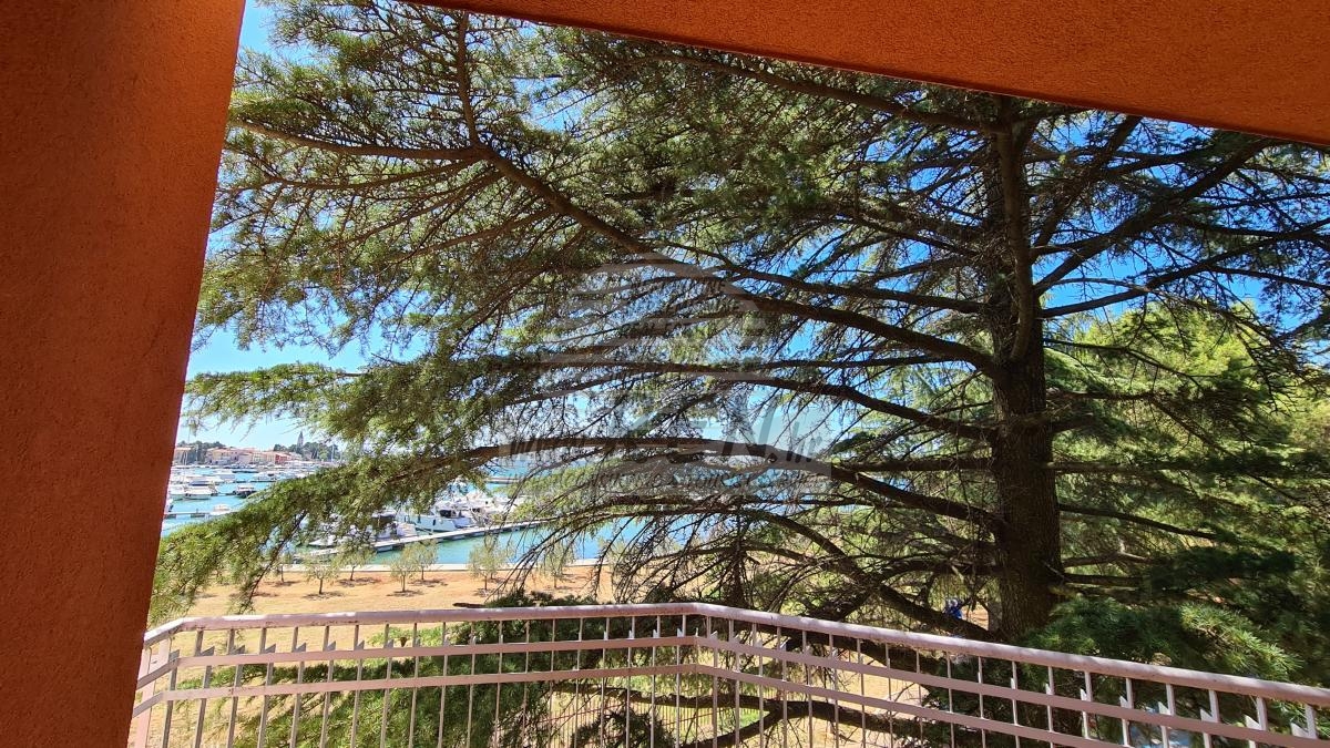 Ferienwohnung in Novigrad erste Reihe zum Strand 5