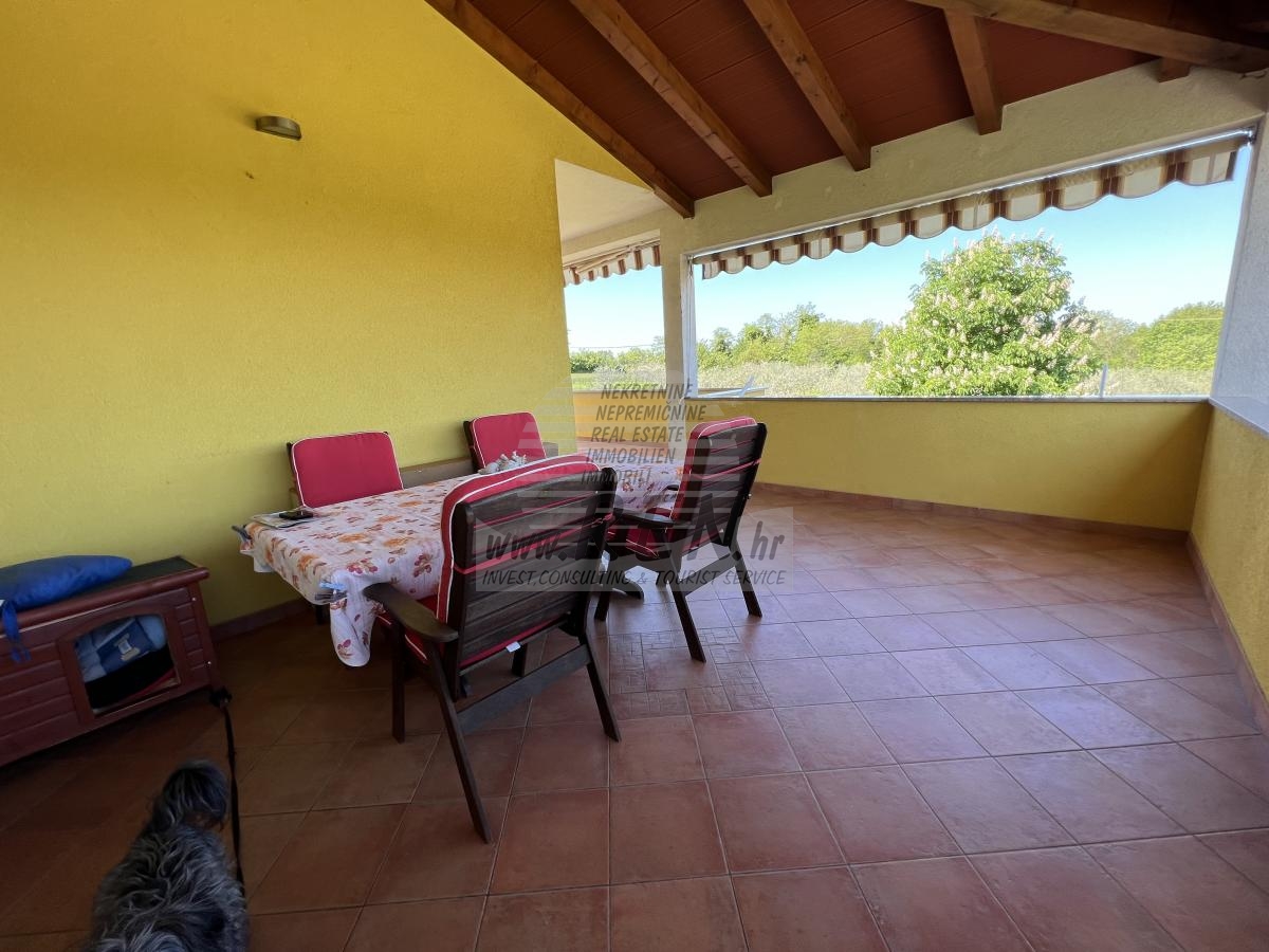 House with an olive grove and a view of the sea 6