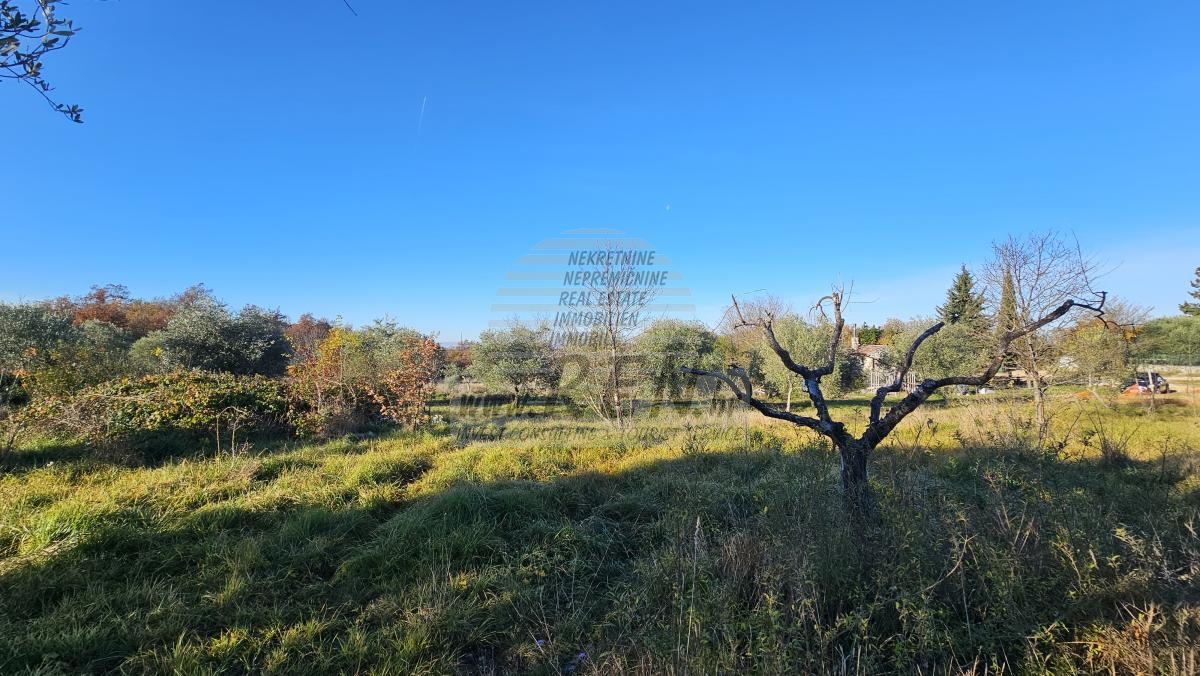 Progetto Moderno in Zona Tranquilla vicino a Buie – Terreno Edificabile con Progetto Concettuale 3