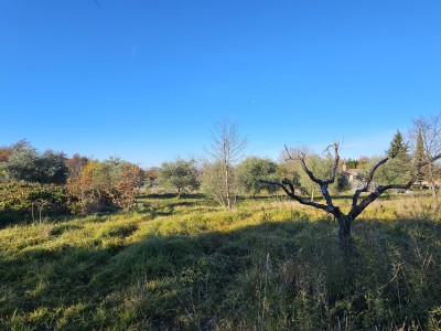 Progetto Moderno in Zona Tranquilla vicino a Buie – Terreno Edificabile con Progetto Concettuale 3