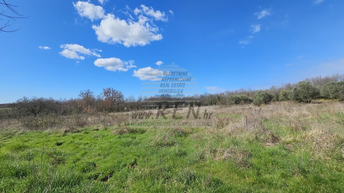 Grundstück in der Nähe von Umag, umgeben von Wald und Natur 4