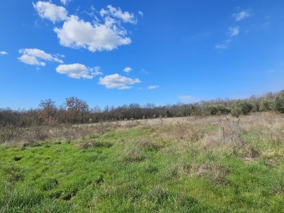 Grundstück in der Nähe von Umag, umgeben von Wald und Natur 4