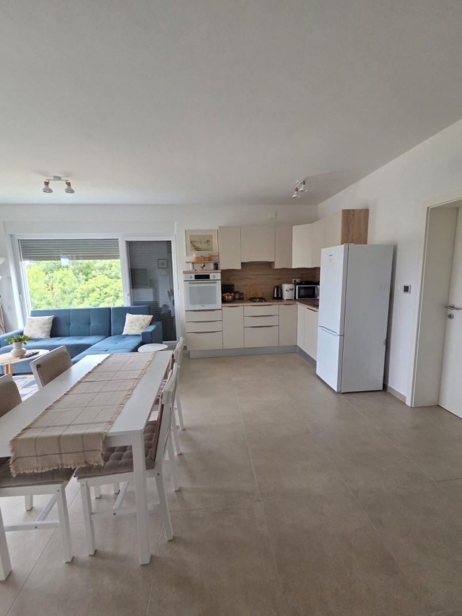 Stan Medulin 5
