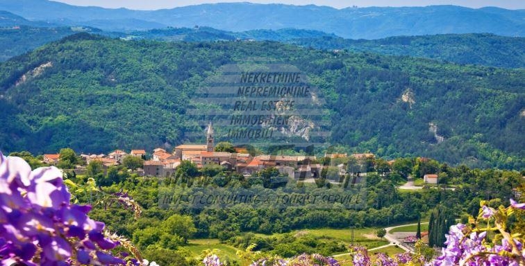 Više hektara obradivog zemljišta u Istri 1
